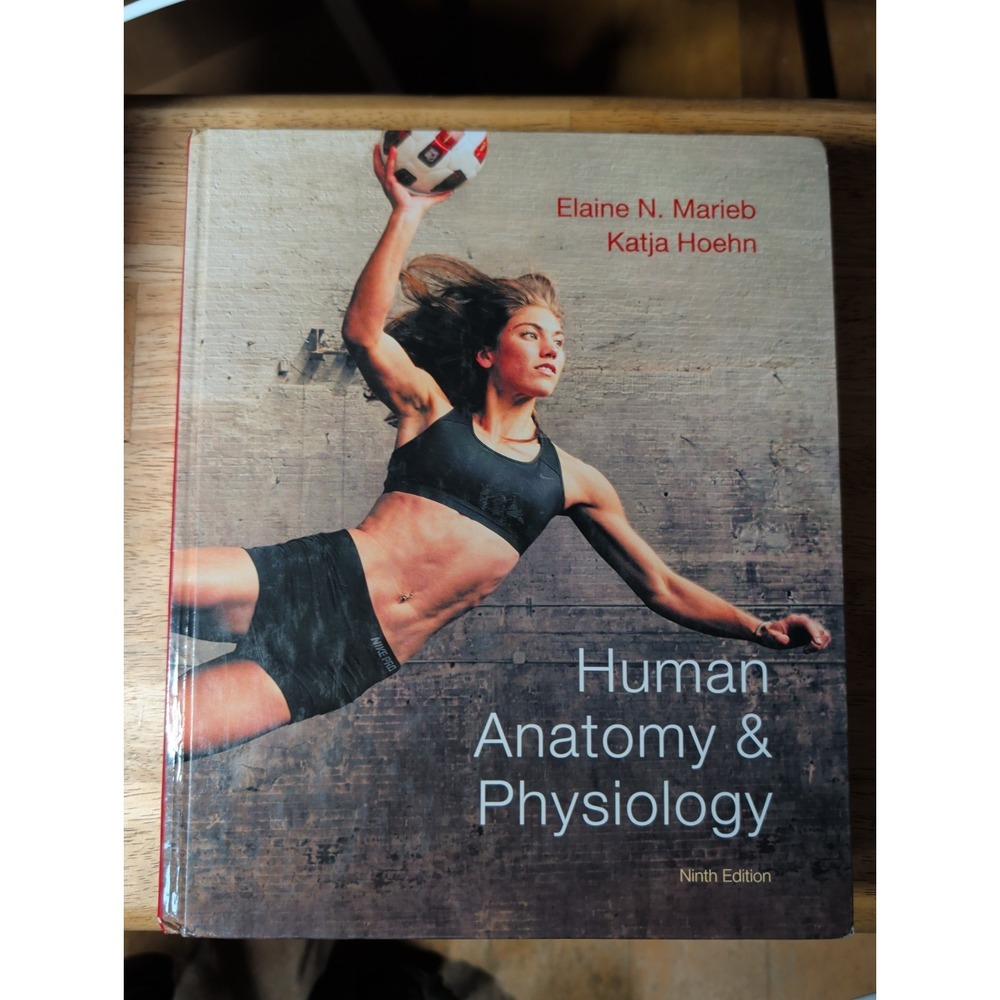 Human Anatomy and Physiology Hardcover Elaine N., Hoehn, Katja N.